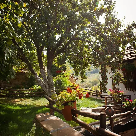 Porodicna Kuca Vitina Iza Lejlighed Pirot