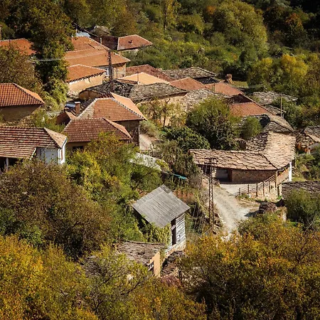 Porodicna Kuca Vitina Iza Pirot