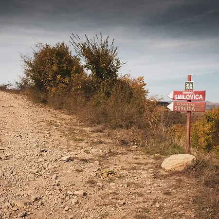Porodicna Kuca Vitina Iza