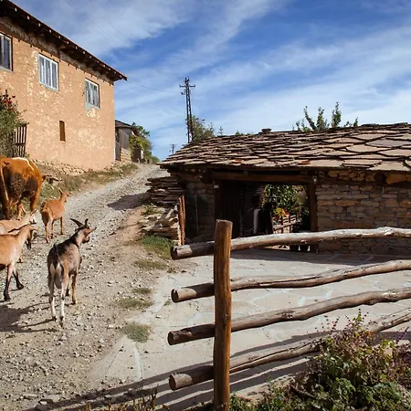 Porodicna Kuca Vitina Iza *